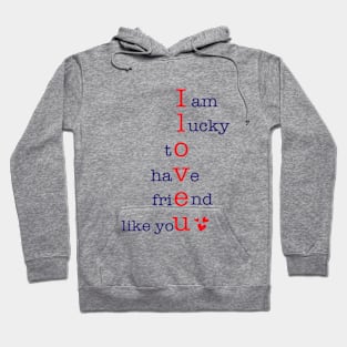 I am lucky to have Friend like You Hoodie